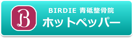 ホットペッパービューティー・BIRDIE 青砥整骨院